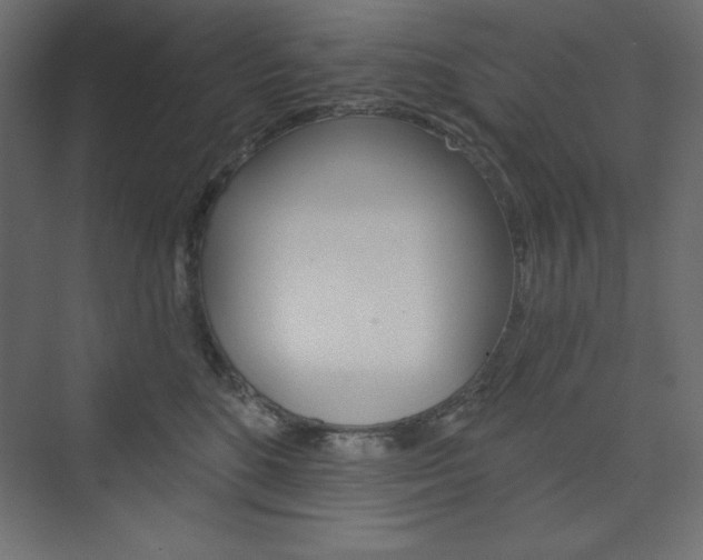 X0000073990520200608211045