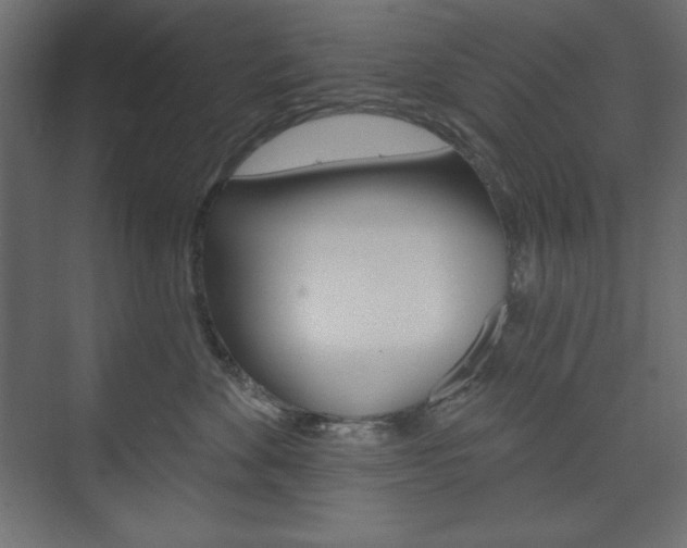 X0000073990524200608211045