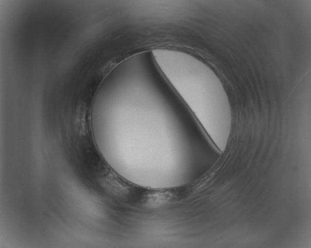 X0000073990525200608211045