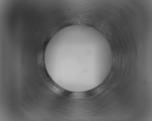 X0000073990526200608211045