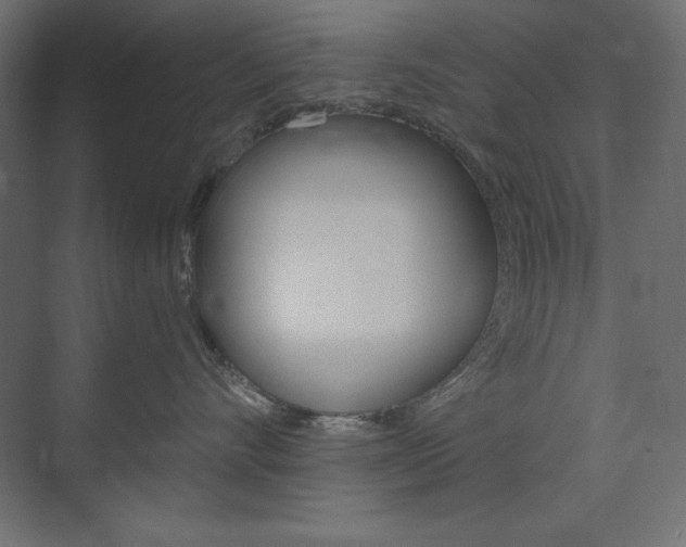 X0000073990528200608211045