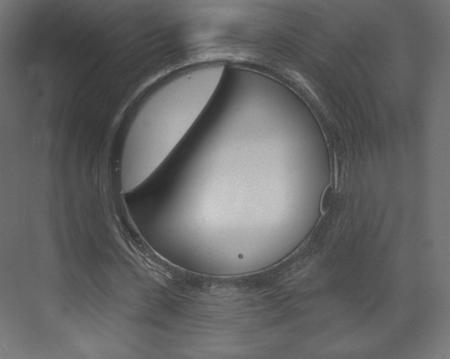 X0000073990531200608211044
