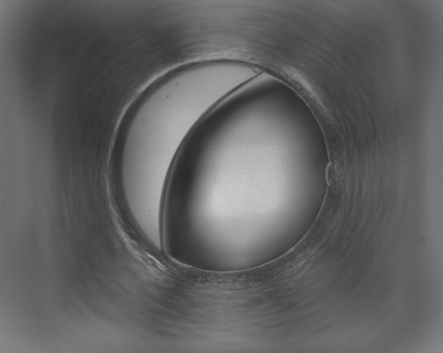 X0000073990532200608211044
