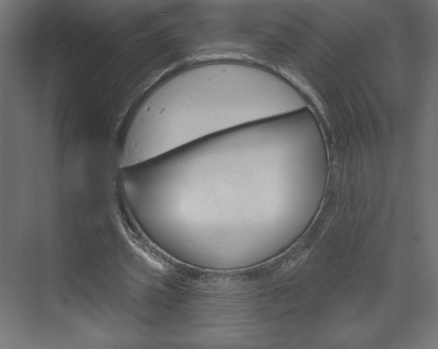 X0000073990533200608211044