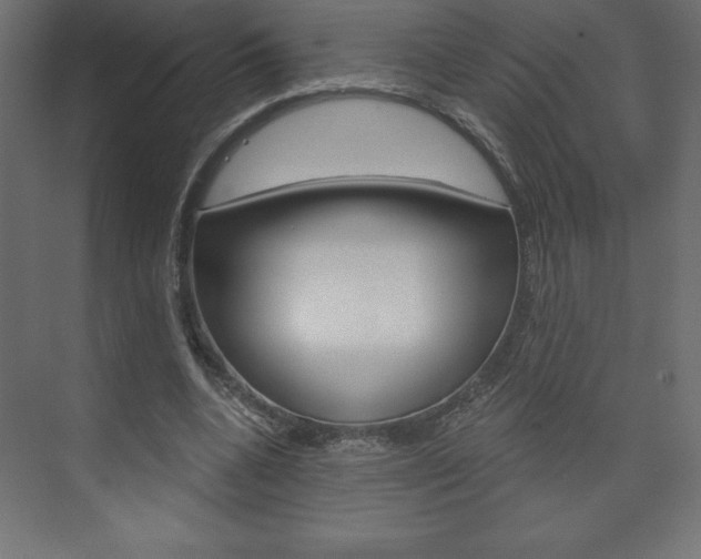 X0000073990536200608211044