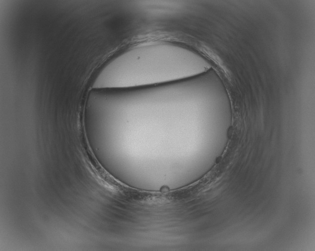X0000073990537200608211044