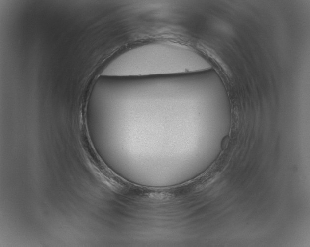 X0000073990541200608211044