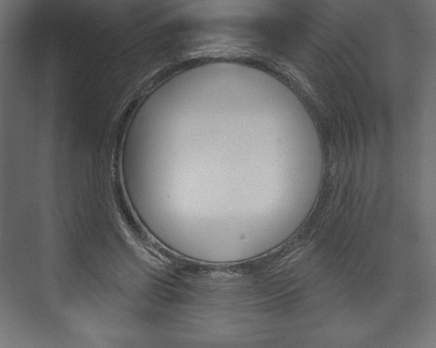 X0000073990542200608211044