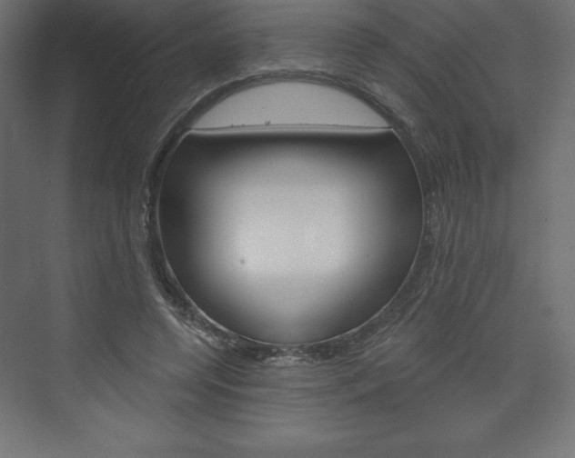 X0000073990544200608211044