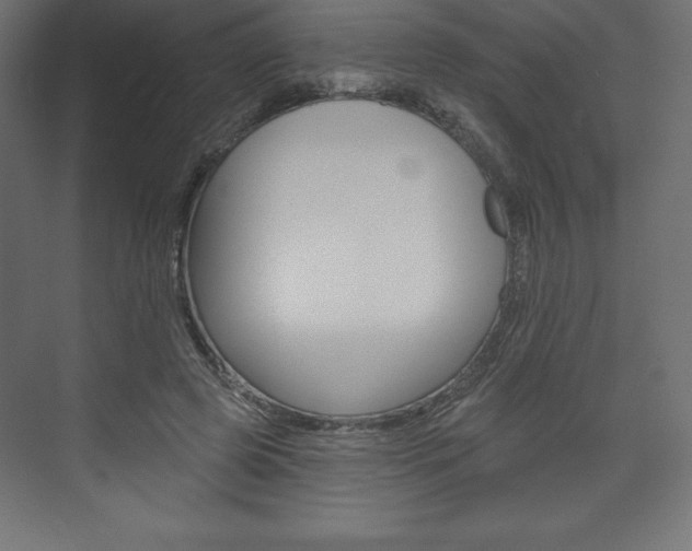 X0000073990545200608211044
