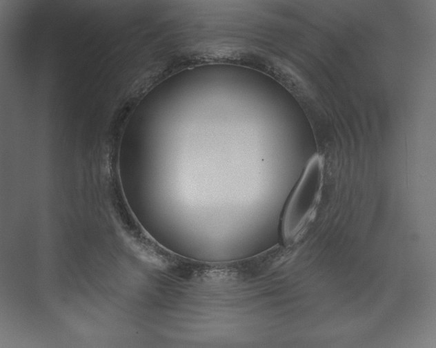 X0000073990546200608211044