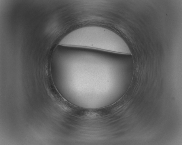 X0000073990547200608211044