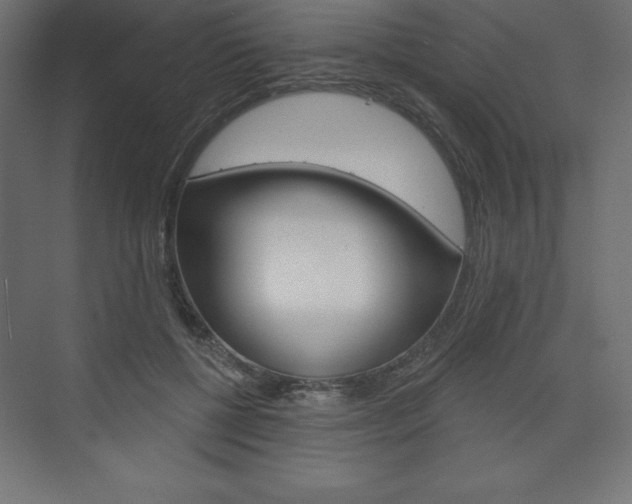 X0000073990552200608211045