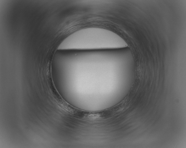 X0000073990554200608211045