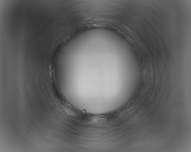 X0000073990555200608211045