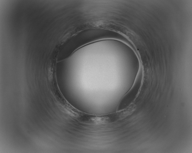 X0000073990558200608211045
