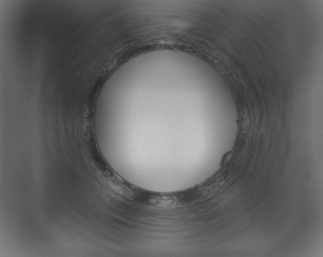 X0000073990559200608211045