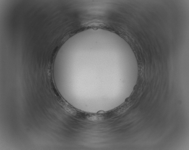 X0000073990561200608211045