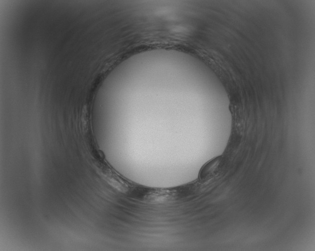 X0000073990563200608211045