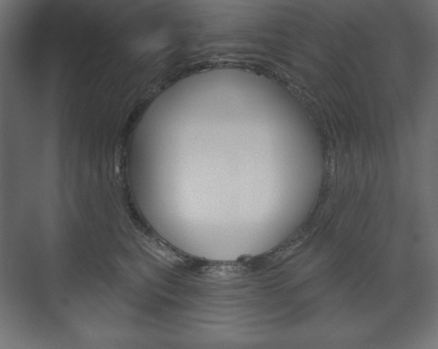 X0000073990567200608211045