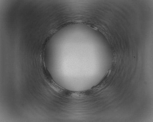 X0000073990568200608211045
