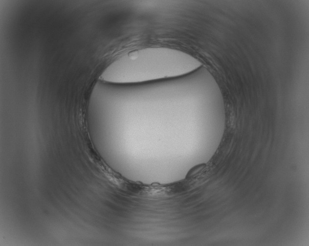 X0000073990569200608211045
