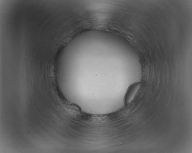 X0000073990571200608211045