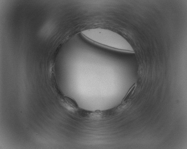 X0000073990574200608211045