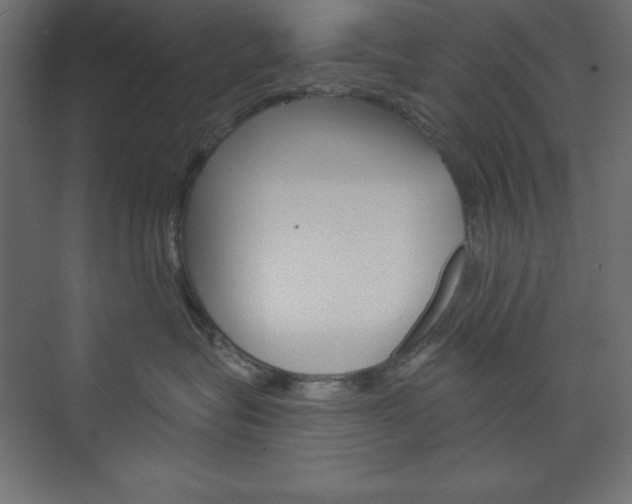 X0000073990575200608211045