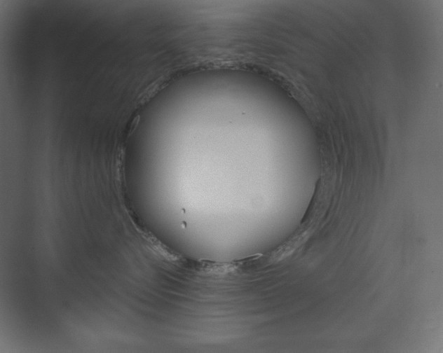 X0000073990576200608211045