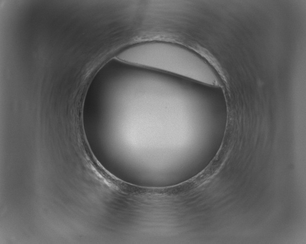 X0000073990577200608211044