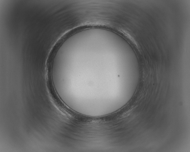 X0000073990584200608211044