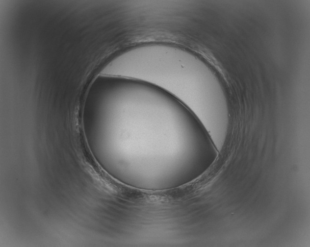 X0000073990585200608211044