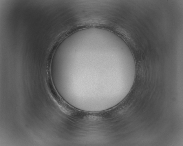 X0000073990590200608211044