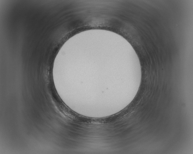 X0000073990592200608211044