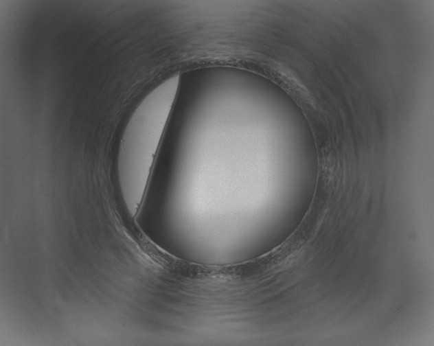 X0000073990593200608211044