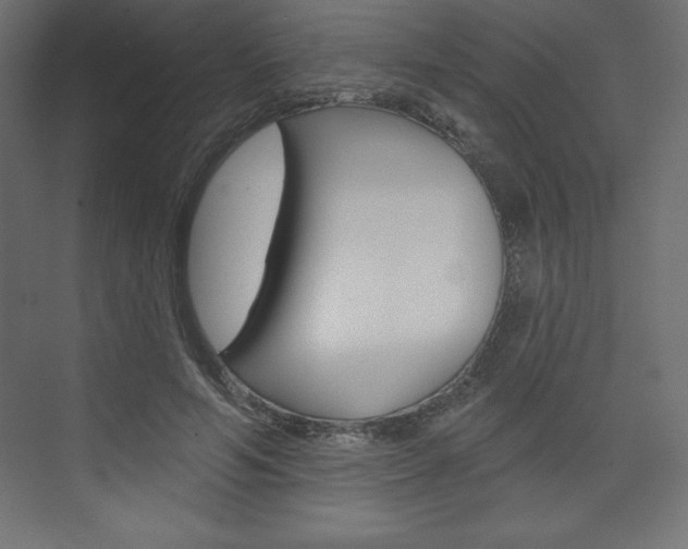 X0000073990594200608211044