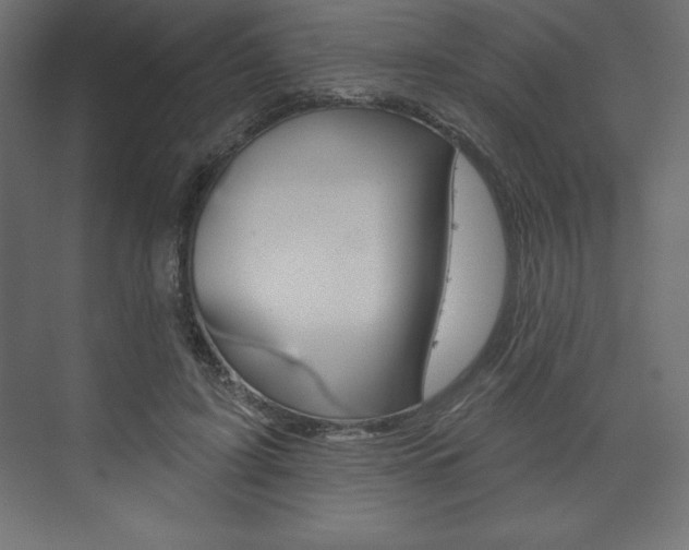 X0000073990595200608211044