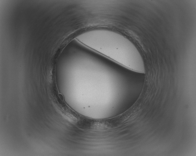 X0000073990596200608211044