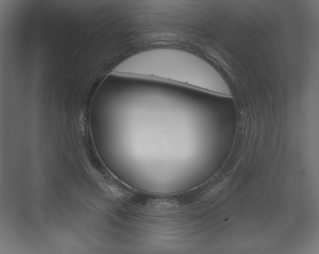 X0000073990597200608211044