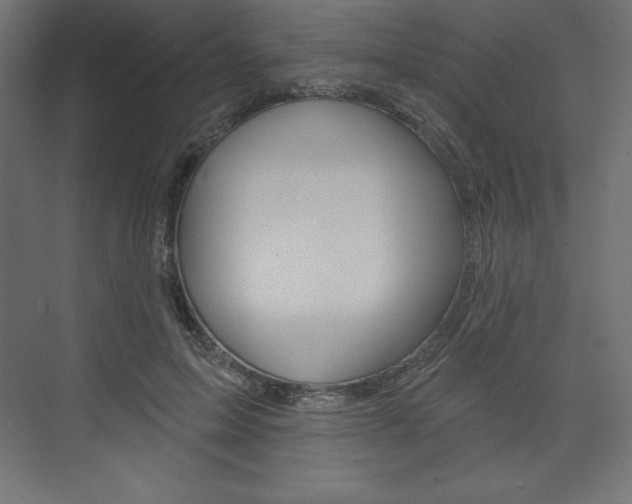 X0000073990599200608211044