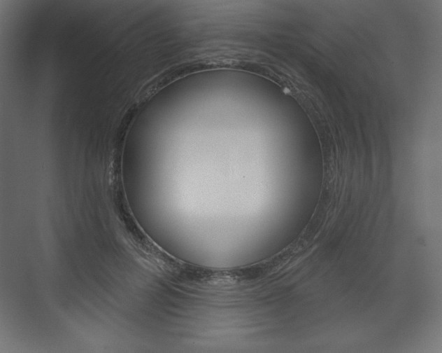 X0000073990600200608211044