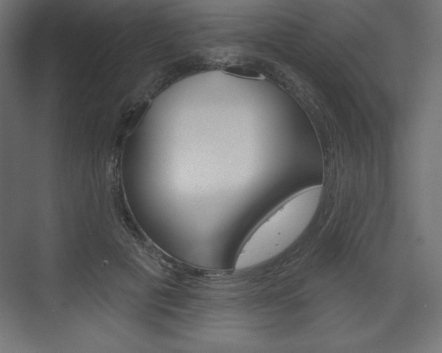 X0000073990601200608211044