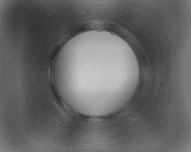 X0000073990602200608211044