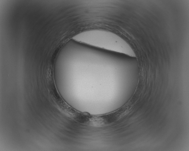 X0000073990603200608211044