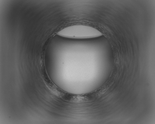 X0000073990607200608211044