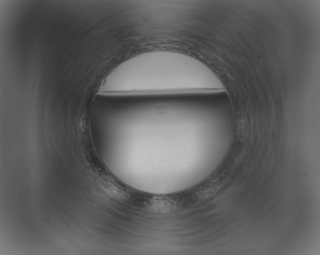 X0000073990608200608211044