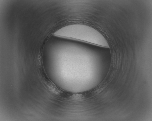 X0000073990609200608211044