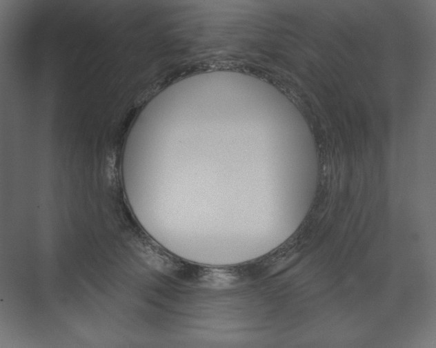 X0000073990610200608211044