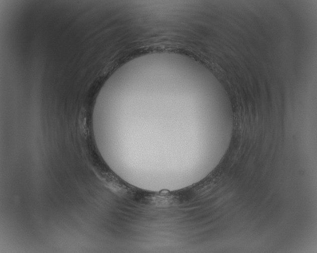 X0000073990615200608211043